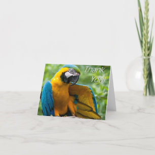 Macaw Thank You Notecards Bedankkaart