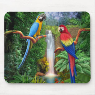 Macaw Tropische parrots Muismat