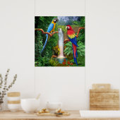 Macaw Tropische parrots Poster (Keuken)