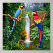 Macaw Tropische parrots Poster (Voorkant)