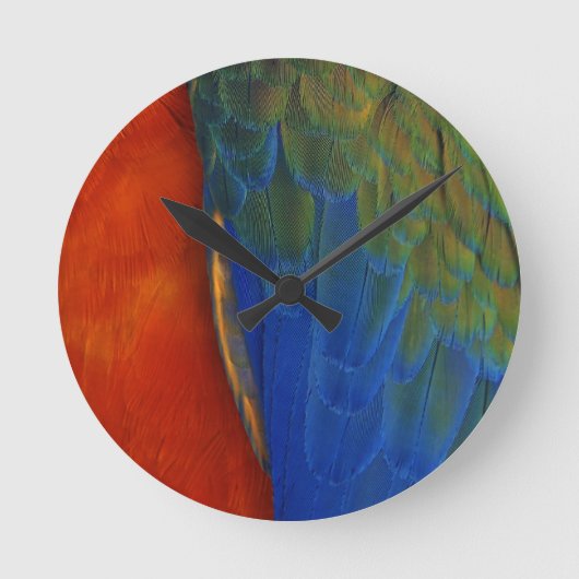 Macaw Veters Ronde Klok (Voorkant)
