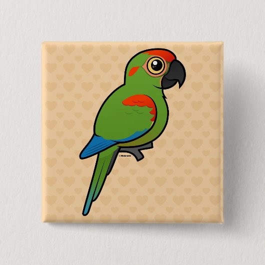 Macaw Vierkante Button 5,1 Cm (Voorkant)