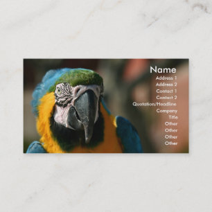 Macaw Visitekaartje