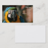 Macaw Visitekaartje (Voorkant / Achterkant)