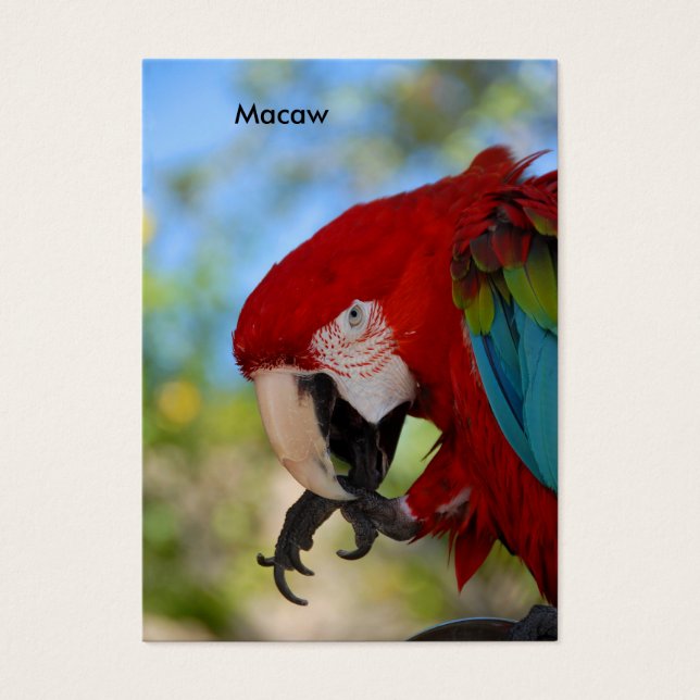 Macaw Visitekaartjes (Voorkant)