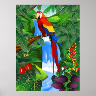 Macaw vogelillustratie poster