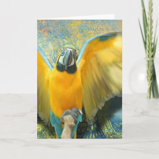 Macaw Wenskaart Kaart (Voorkant)