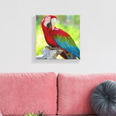 Macaw zittend op vertakking canvas afdruk (Insitu (Woonkamer))