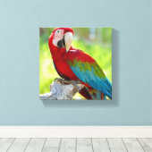 Macaw zittend op vertakking canvas afdruk (Insitu (Houten vloer))