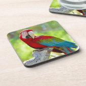Macaw zittend op vertakking drankjes onderzetter (Linkerzijde)