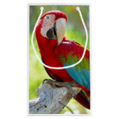 Macaw zittend op vertakking klein cadeauzakje (Achterkant)