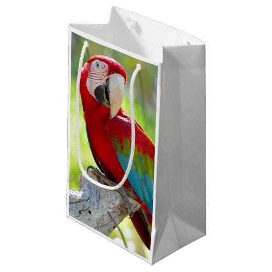 Macaw zittend op vertakking klein cadeauzakje (Voorkant Gekanteld)