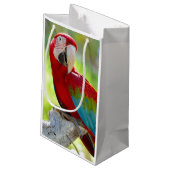 Macaw zittend op vertakking klein cadeauzakje (Achterkant Gekanteld)