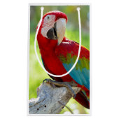 Macaw zittend op vertakking klein cadeauzakje (Voorkant)