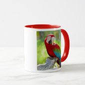 Macaw zittend op vertakking mok (Voorkant rechts)