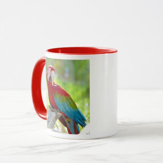 Macaw zittend op vertakking mok (Voorkant links)