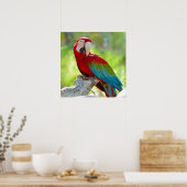 Macaw zittend op vertakking poster (Keuken)