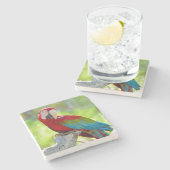 Macaw zittend op vertakking stenen onderzetter (Zijkant)