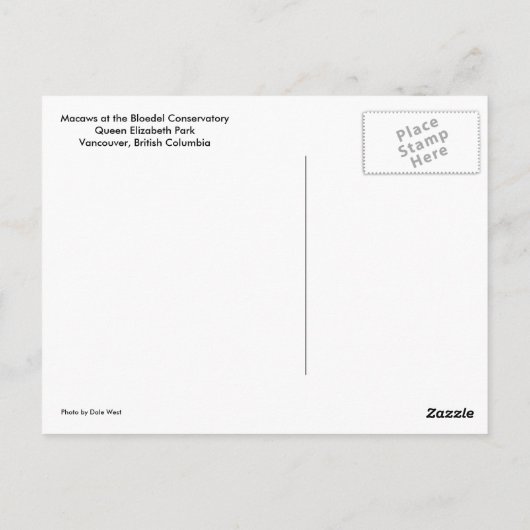 Macaws Briefkaart (Achterkant)