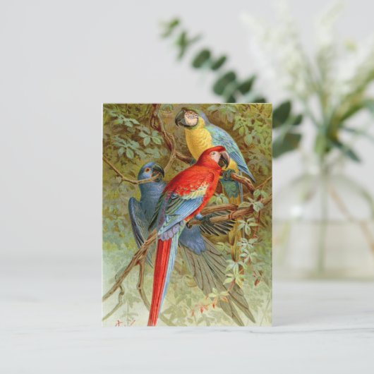 Macaws Briefkaart (Staand voorkant)