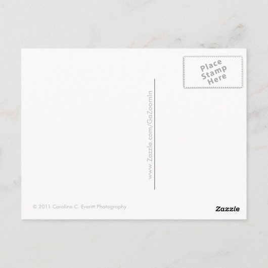 Macaws Briefkaart (Achterkant)