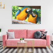 Macaws Canvas Afdruk (Insitu (Woonkamer))
