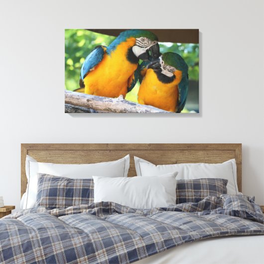 Macaws Canvas Afdruk (Insitu (Slaapkamer))