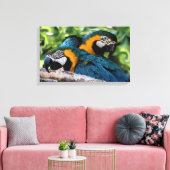 Macaws Canvas Afdruk (Insitu (Woonkamer))