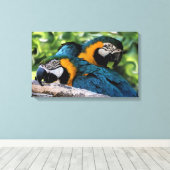 Macaws Canvas Afdruk (Insitu (Houten vloer))
