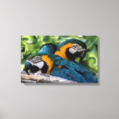 Macaws Canvas Afdruk (Voorkant)