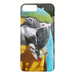 MACAWS 	iPhone 8/7 PLUS HOESJE