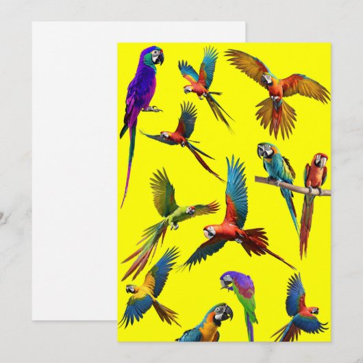 Macaws en nog meer macaws feestdagenkaart (Voorkant / Achterkant)