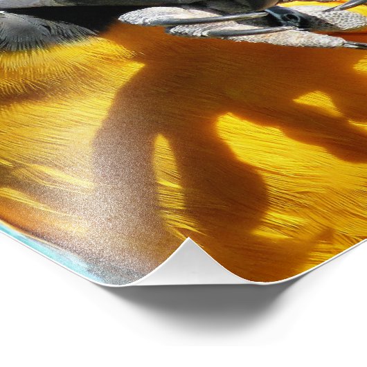 MACAWS FOTO AFDRUK (Hoek)