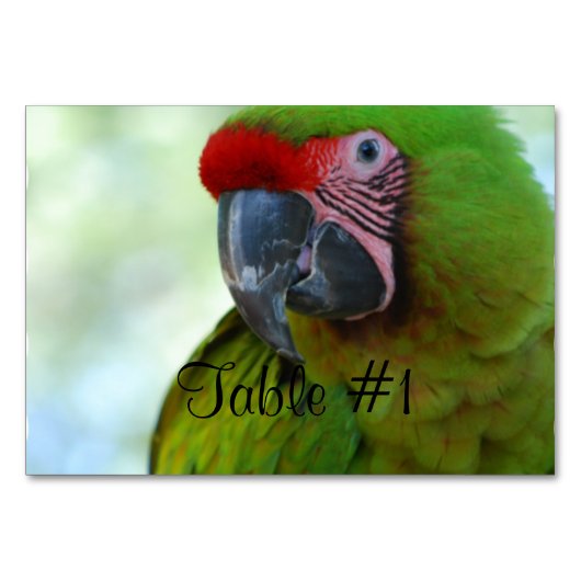 Macaws Kaart (Voorkant)