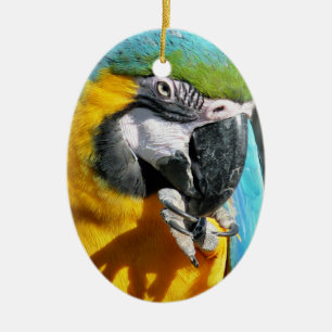MACAWS KERAMISCH ORNAMENT
