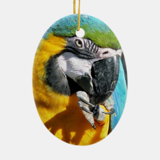 MACAWS KERAMISCH ORNAMENT (Achterkant)