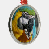 MACAWS METALEN ORNAMENT (Rechts)