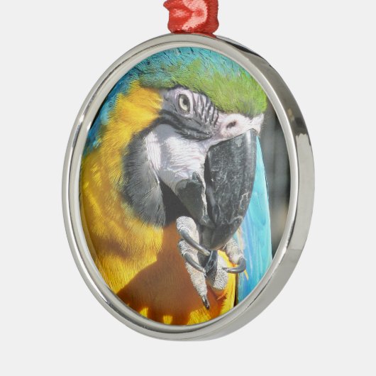 MACAWS METALEN ORNAMENT (Links)
