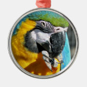 MACAWS METALEN ORNAMENT (Voorkant)