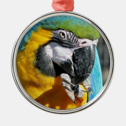 MACAWS METALEN ORNAMENT (Voorkant)