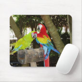 Macaws Mousepad Muismat (Met muis)