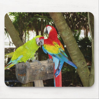 Macaws Mousepad Muismat