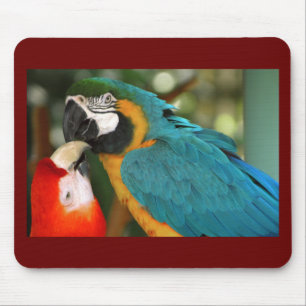 Macaws Muismat