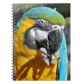 MACAWS NOTITIEBOEK (Voorkant)