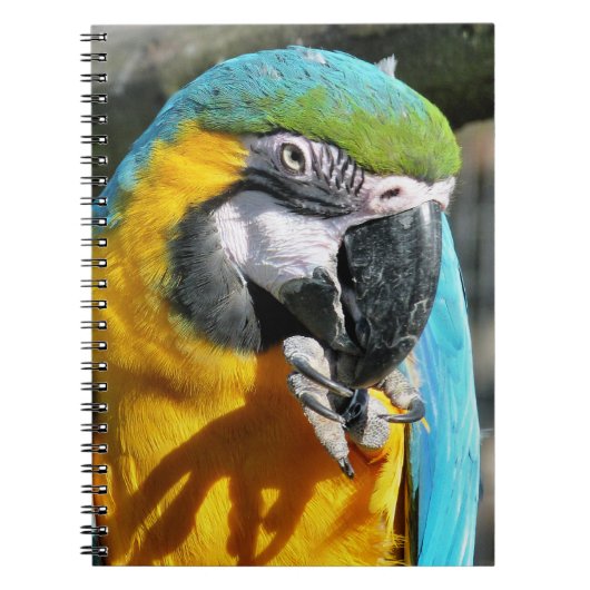 MACAWS NOTITIEBOEK (Voorkant)