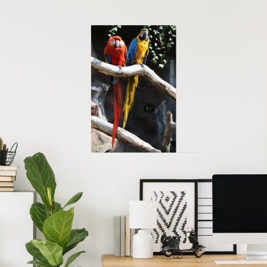 Macaws Poster (Thuiskantoor)