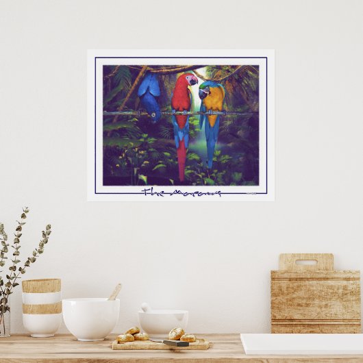 Macaws - Poster (Keuken)