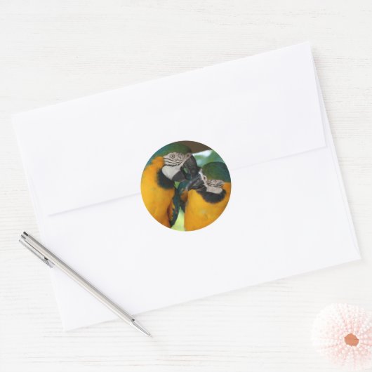 Macaws Ronde Sticker (Envelop)