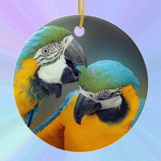 Macaws uit liefde keramisch ornament