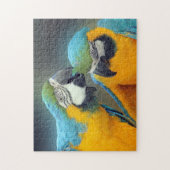 Macaws uit liefde legpuzzel (Verticaal)